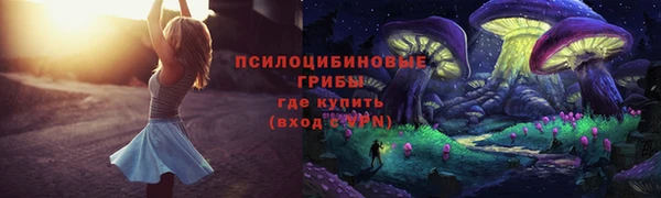 гашик Белоозёрский