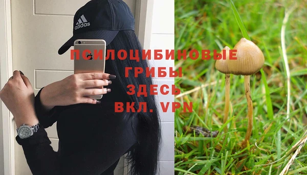соль ск Беломорск
