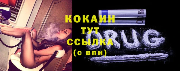 гашик Белоозёрский
